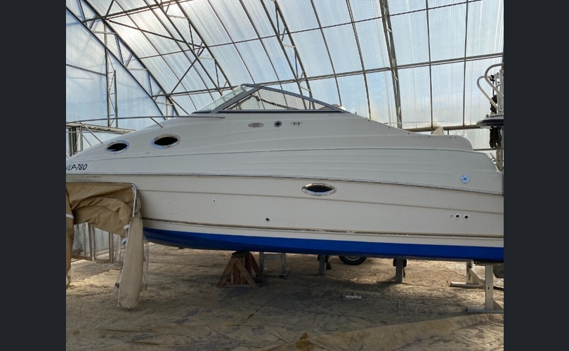 Regal 2465 Commondore-kuva-2